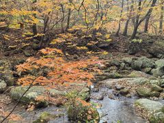 -丹东天桥沟景区