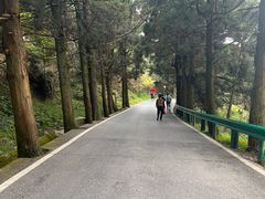 -南岳衡山风景名胜区