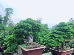 -南山植物园