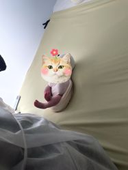 点击看大图 -玛瑞莎·儿童·亲子摄影(越秀店)