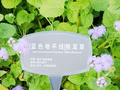 -国家植物园
