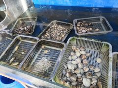 -海帮主·蒸汽海鲜青岛菜(栈桥火车站店)