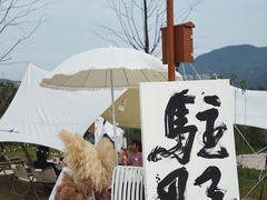 -三垟湿地
