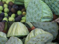 -苏家围·东江画廊旅游景区