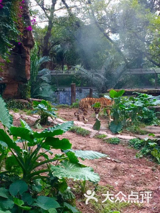 廣州動物園圖片 - 第2565張