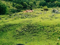-硗碛藏寨·神木垒景区