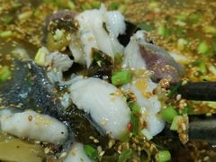 -吴记迎风楼北渡鱼