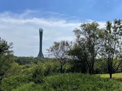-沈阳植物园