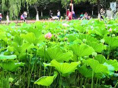 -月牙潭公园