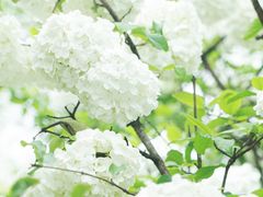 -大龙山(地铁站)