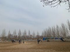 -北京群众马术培训基地