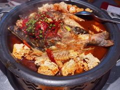 -探鱼·鲜青椒爽麻烤鱼(苏宁广场店)
