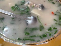 -煲来饱去冷水鱼