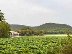 -云龙湖旅游景区