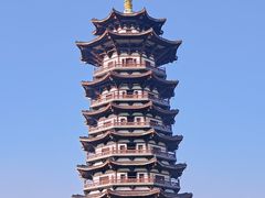 -洋湖国家湿地公园