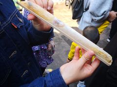 笋干老鸭煲-瓦库茶馆17号(海汇港店)