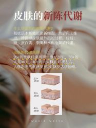 点击看大图 -玛莲朵·海菲秀冰珀科