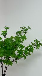 -变美丽半永久纹眉连锁·机器野生眉·洗眉