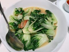 清炒油冬菜-新荣记(建国门外大街店)