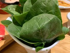 嫩叶小菠菜-青瓷火锅料理(西单大悦城店)