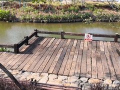 -蔡家宅