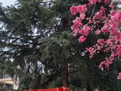-昆明动物园