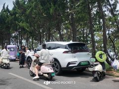-养马岛旅游度假区