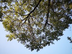 -北京第二实验小学