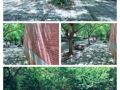 -太鲁阁公园