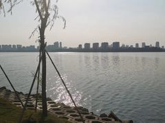 -艾溪湖湿地公园