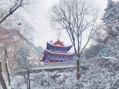-秦岭终南山世界地质公园翠华山景区