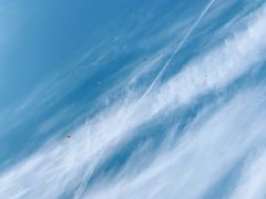 -天鹅湖体育公园