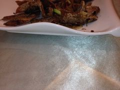 签到图片-千岛湖鱼味馆(十字街总店)