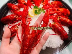 洪福冰镇龙虾-洪福龙虾