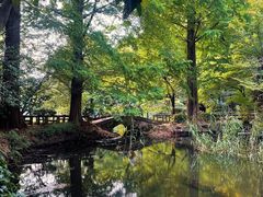 -三鹰之森吉卜力美术馆