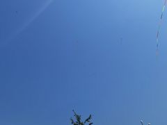 -丁香湖公园
