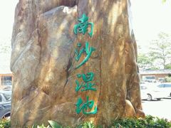 -大湾区中央湿地公园