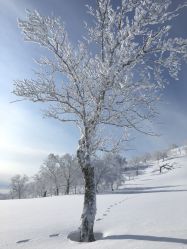 -大秃顶子山