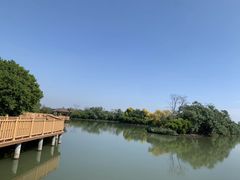 -大湾区中央湿地公园