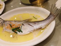 清蒸野生小白鱼-菱湖饭店(软件园店)