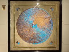 -上海昆虫博物馆