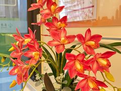 -泰康之家·申园