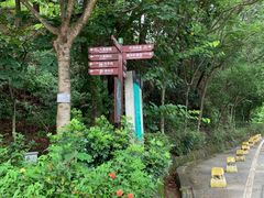 -东莞市大岭山森林公园