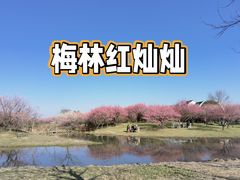 -花开海上生态园