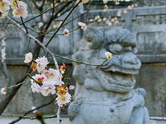 -莫愁湖公园