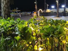 -木屋烧烤(惠阳华润小径湾店)