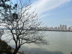-艾溪湖湿地公园