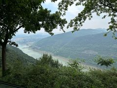 -铁山坪森林公园