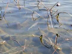 -无锡市市民中心