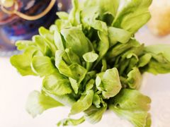 蓬蒿菜-皇城根(张杨店)